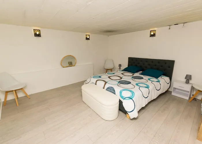 Apartment Hyper Centre Avec Jardin *